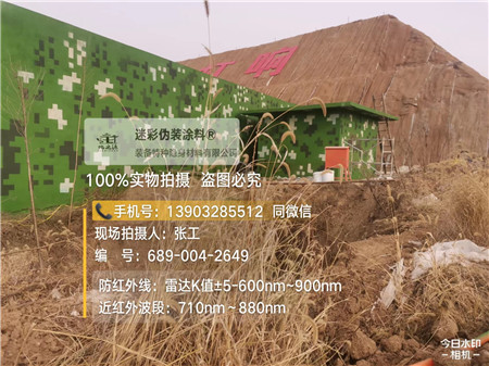 衡阳星空迷彩墙施工队