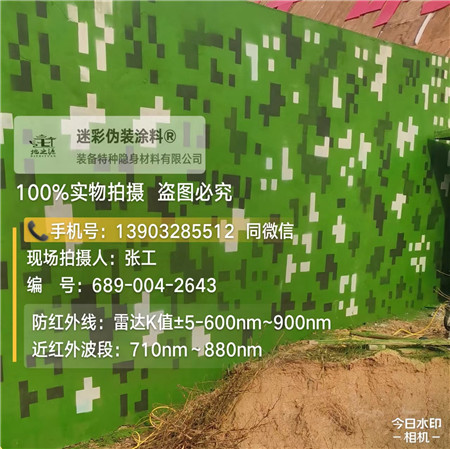 衡阳星空迷彩漆，夏令营训练,数码迷彩作训墙,围墙