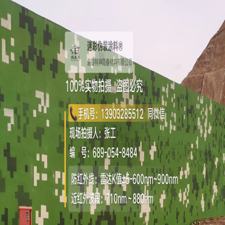 衡阳专业承接园区围墙迷彩喷涂、